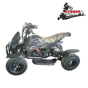 500W/800W/1000W Electric Mini KIDS ATV 