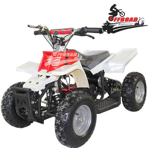 Mini Electric ATV Quad RM-EA8004B