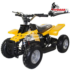 Mini Electric ATV Quad RM-EA8004C