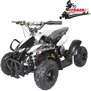 Mini Electric ATV RM-EA8003C